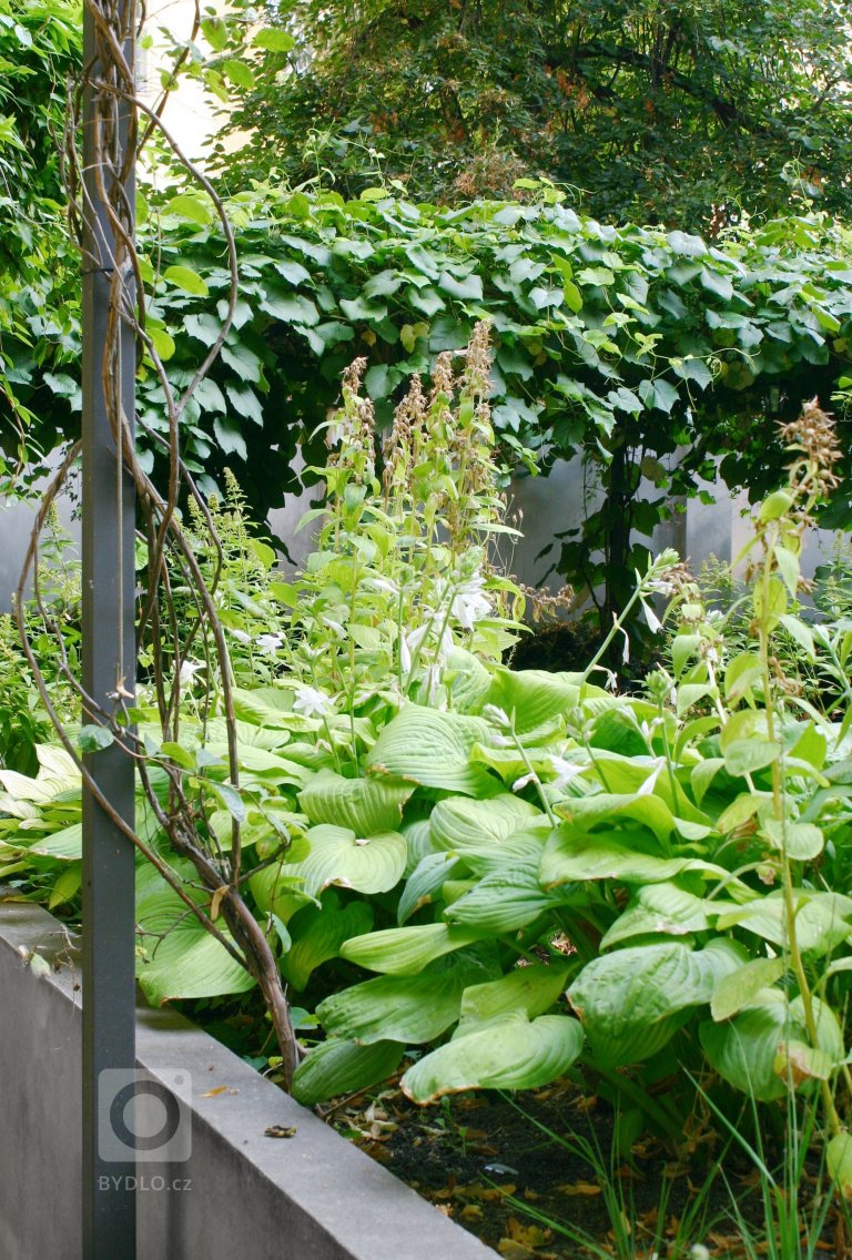 add picture to album