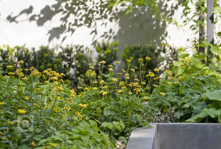 add picture to album