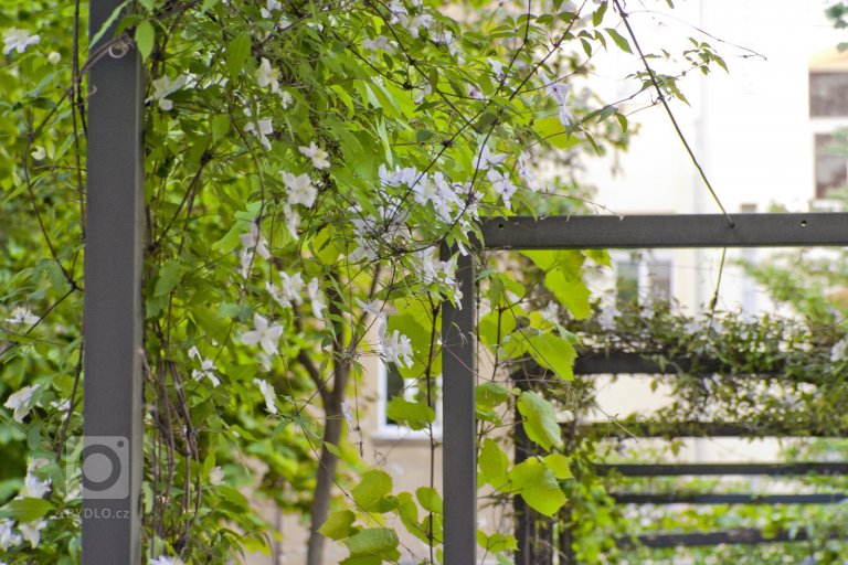 add picture to album