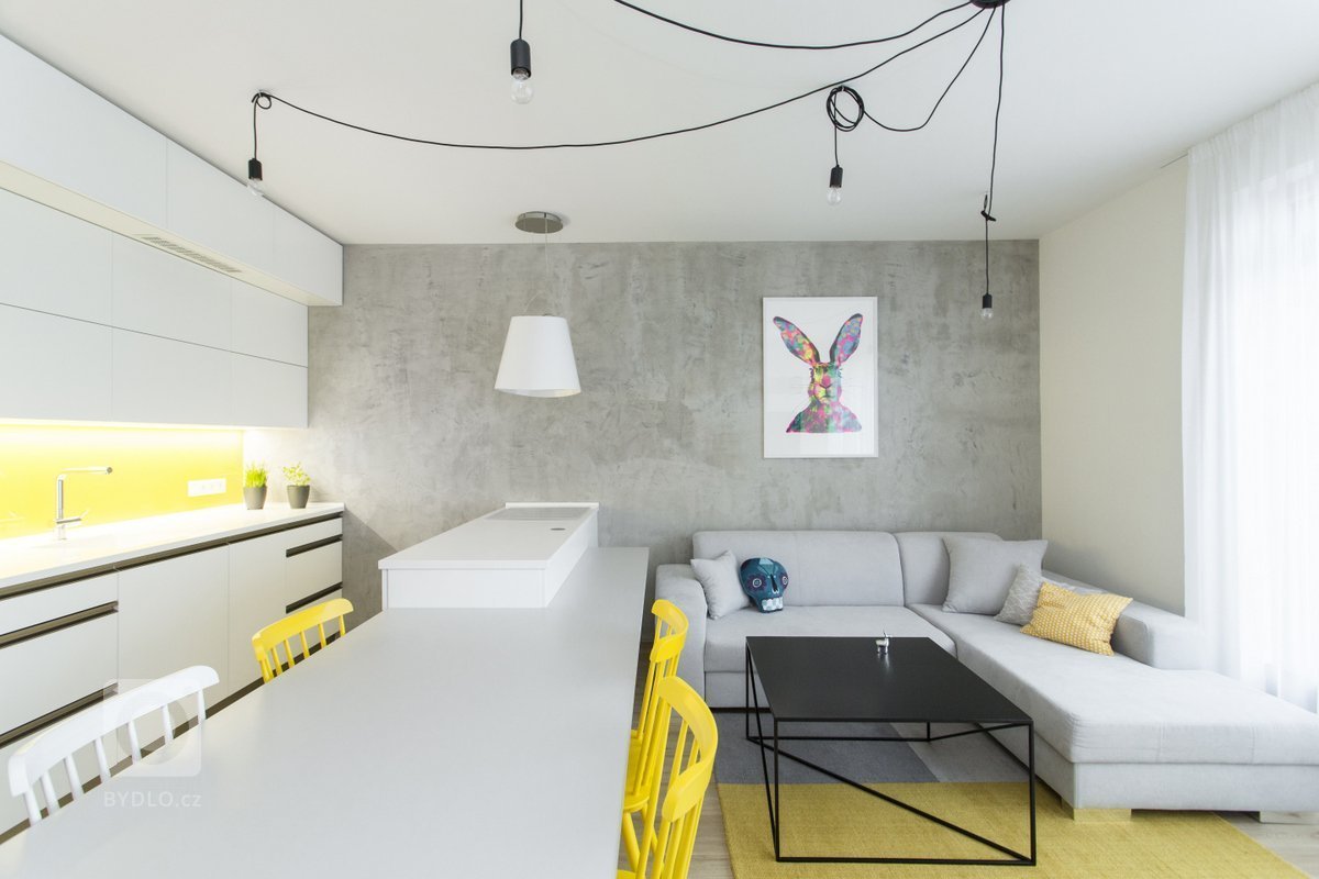 Nový developerský projekt, mladá slečna, první bydlení a hned byla tak světová, že se do zařizování nepustila sama, ale nechala si poradit. Pokud přijdete včas…