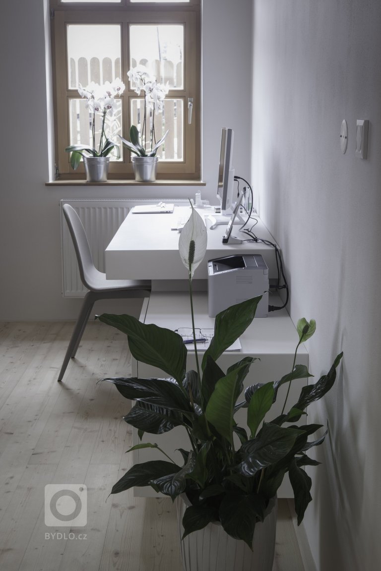 add picture to album