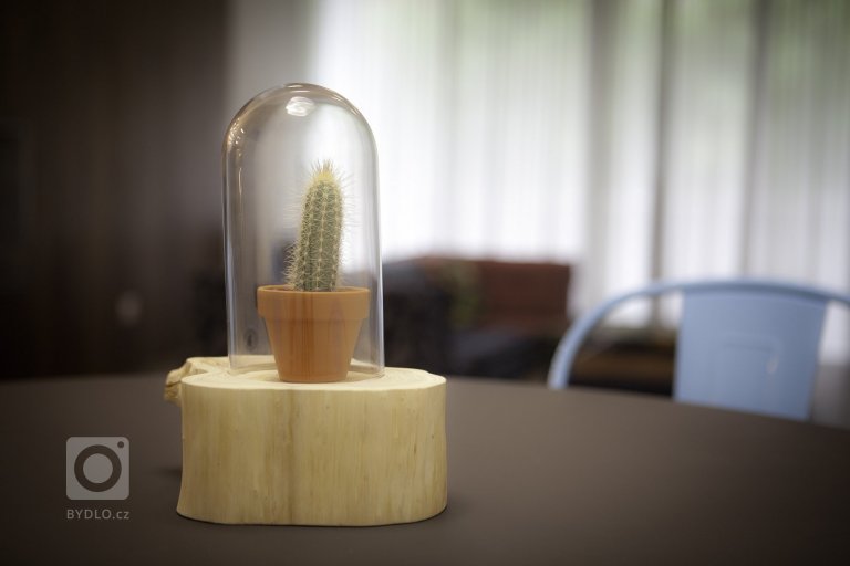 add picture to album