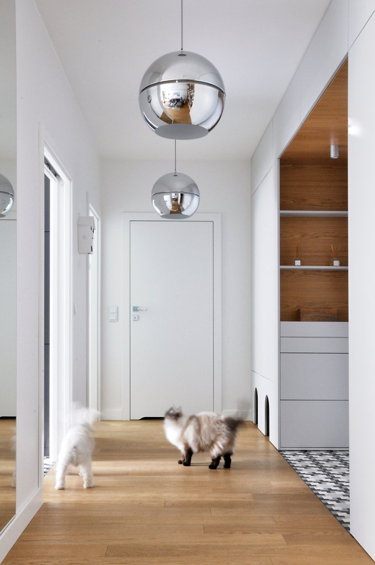 Byt pro milovníky zvířat