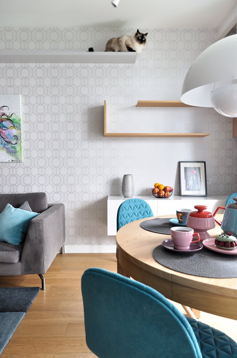 Byt pro milovníky zvířat