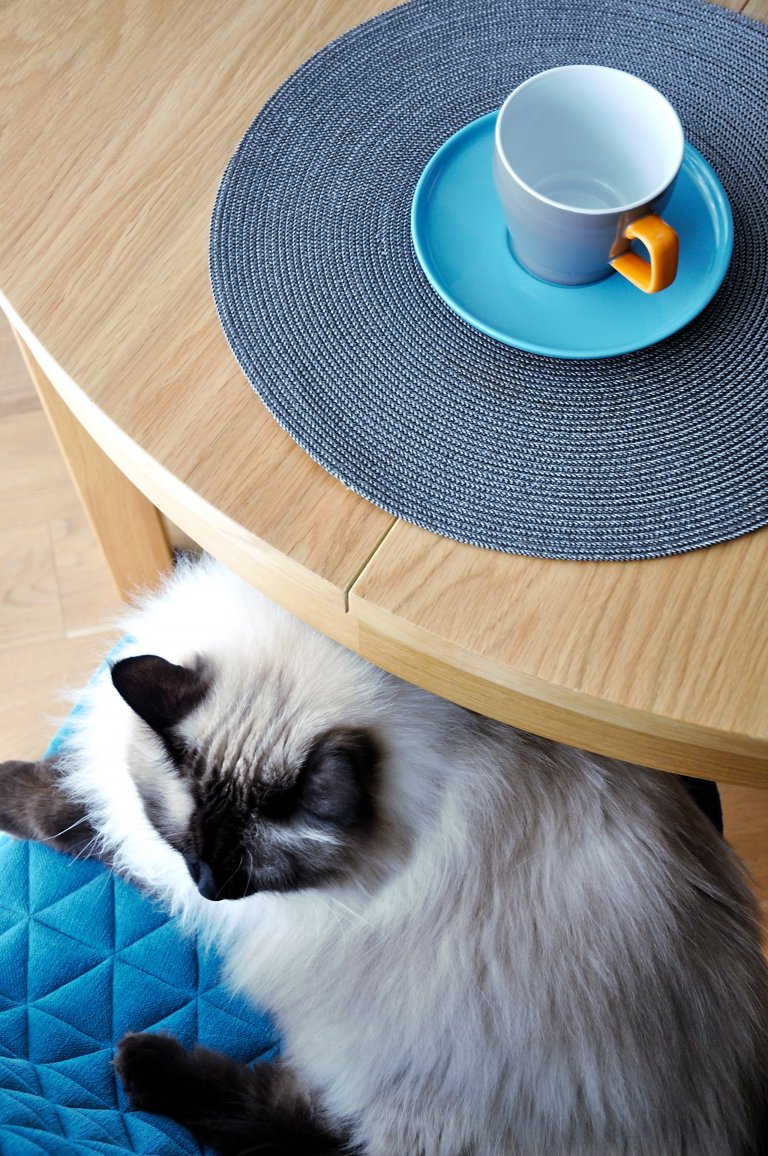 Byt pro milovníky zvířat