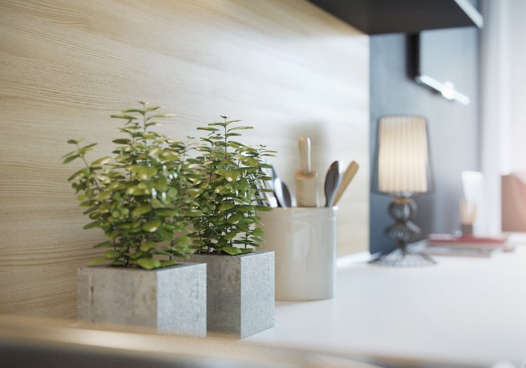 Garsonka pro singl slečnu