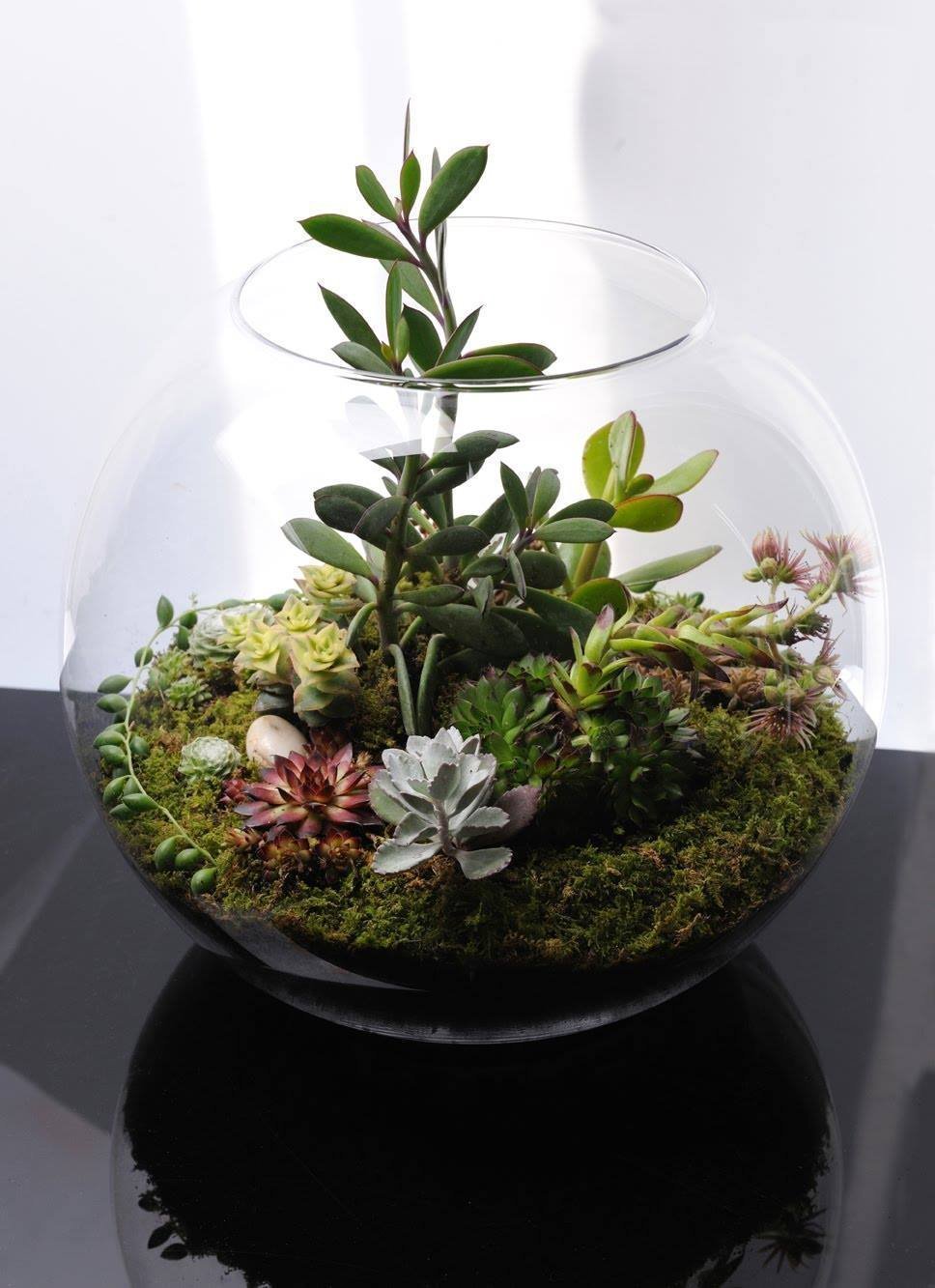 Zahrádka bez zahrádky