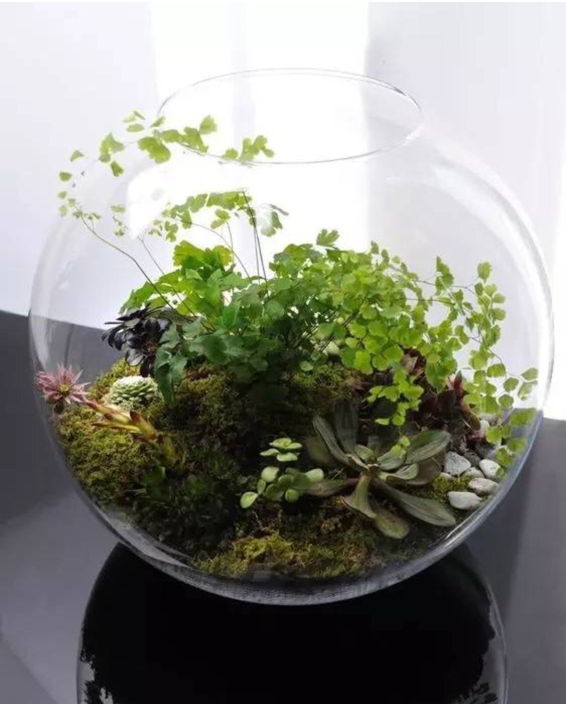 Zahrádka bez zahrádky