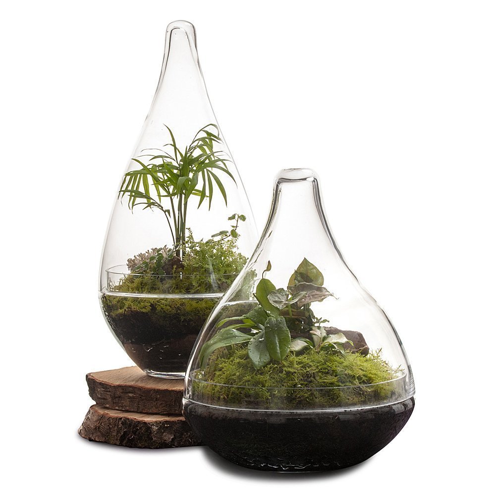 Zahrádka bez zahrádky