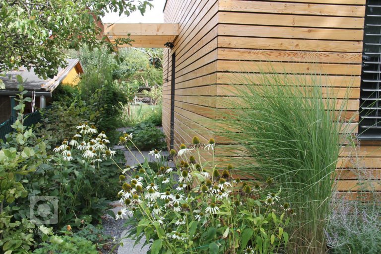 add picture to album