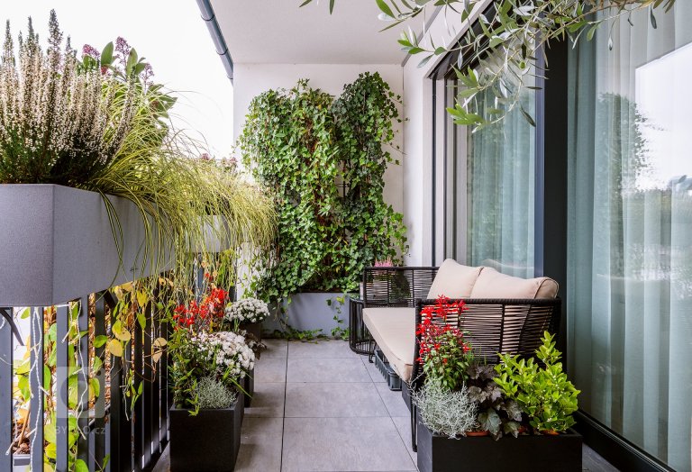 add picture to album