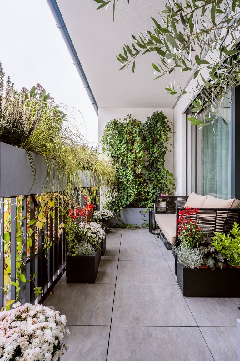 add picture to album