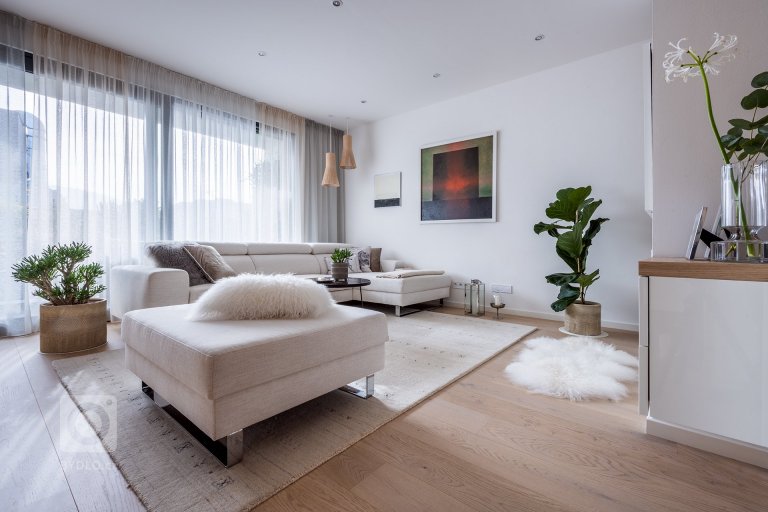 add picture to album