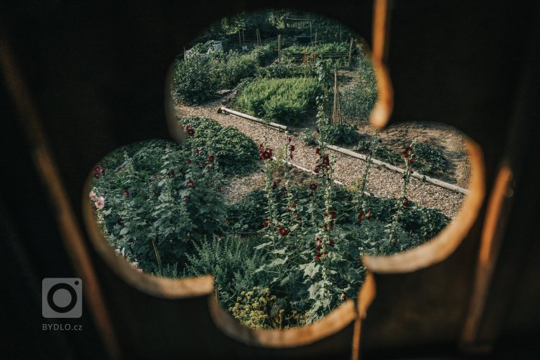 add picture to album