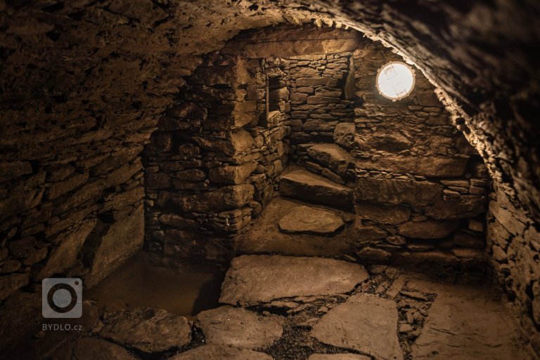 add picture to album