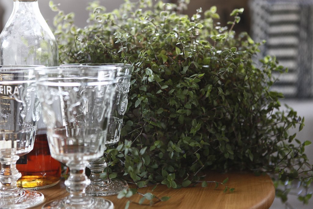 Barevná chalupa pro velkou rodinu