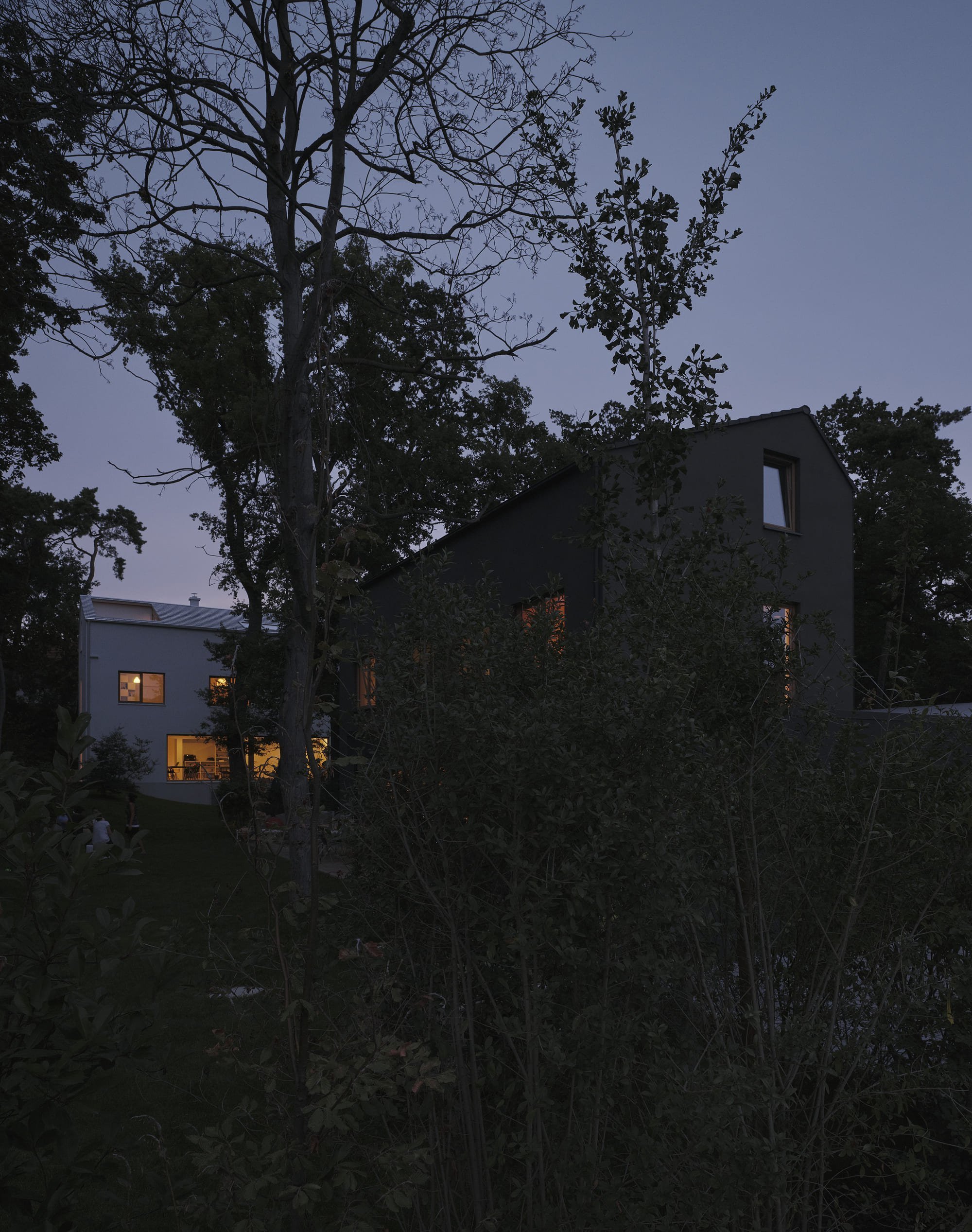 Bílý dům mezi stromy