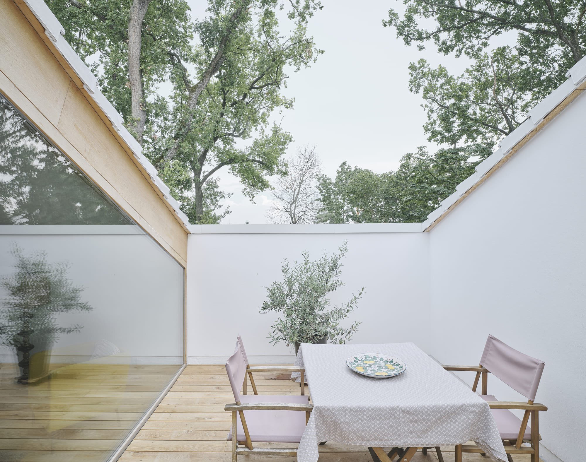 Bílý dům mezi stromy