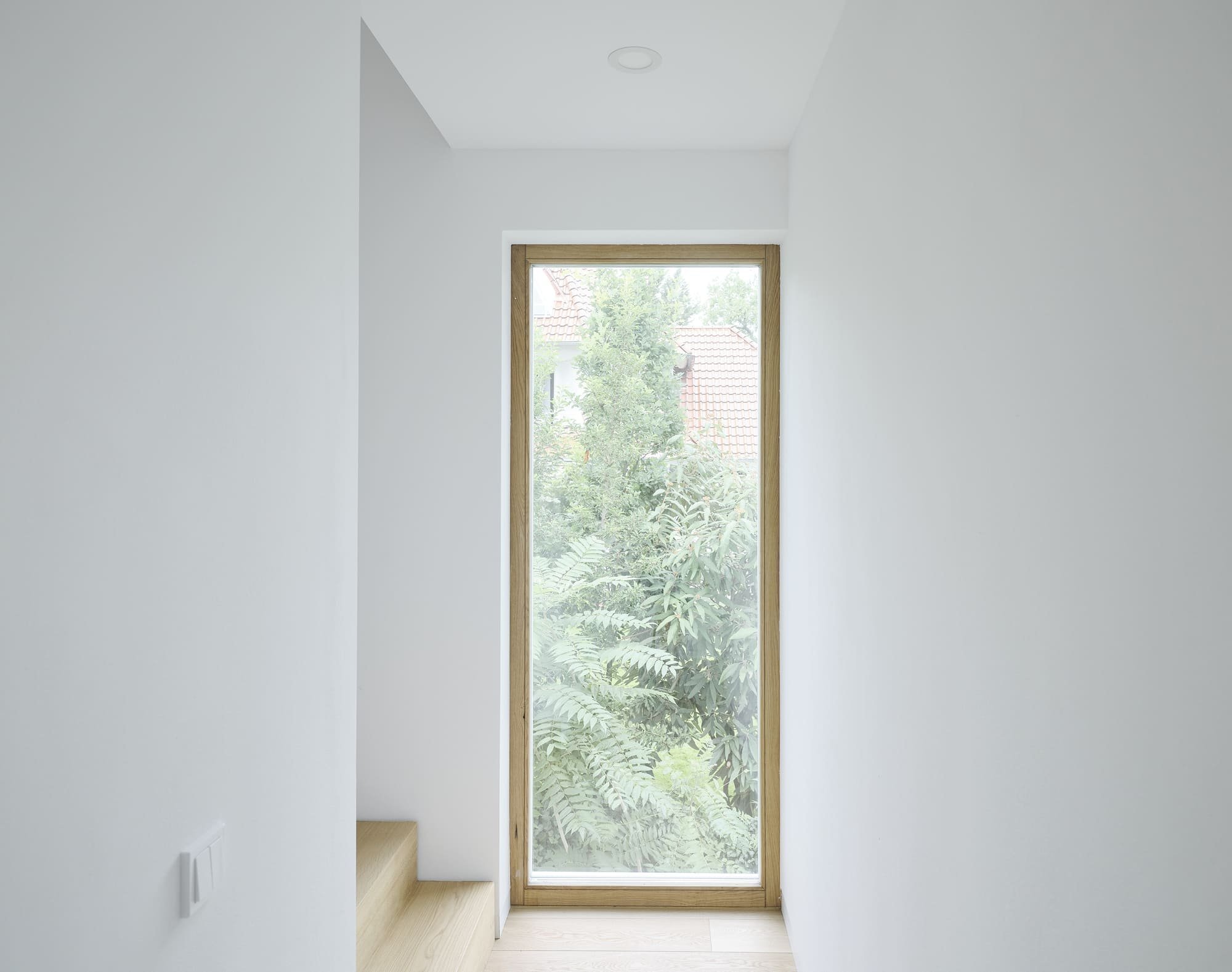 Bílý dům mezi stromy