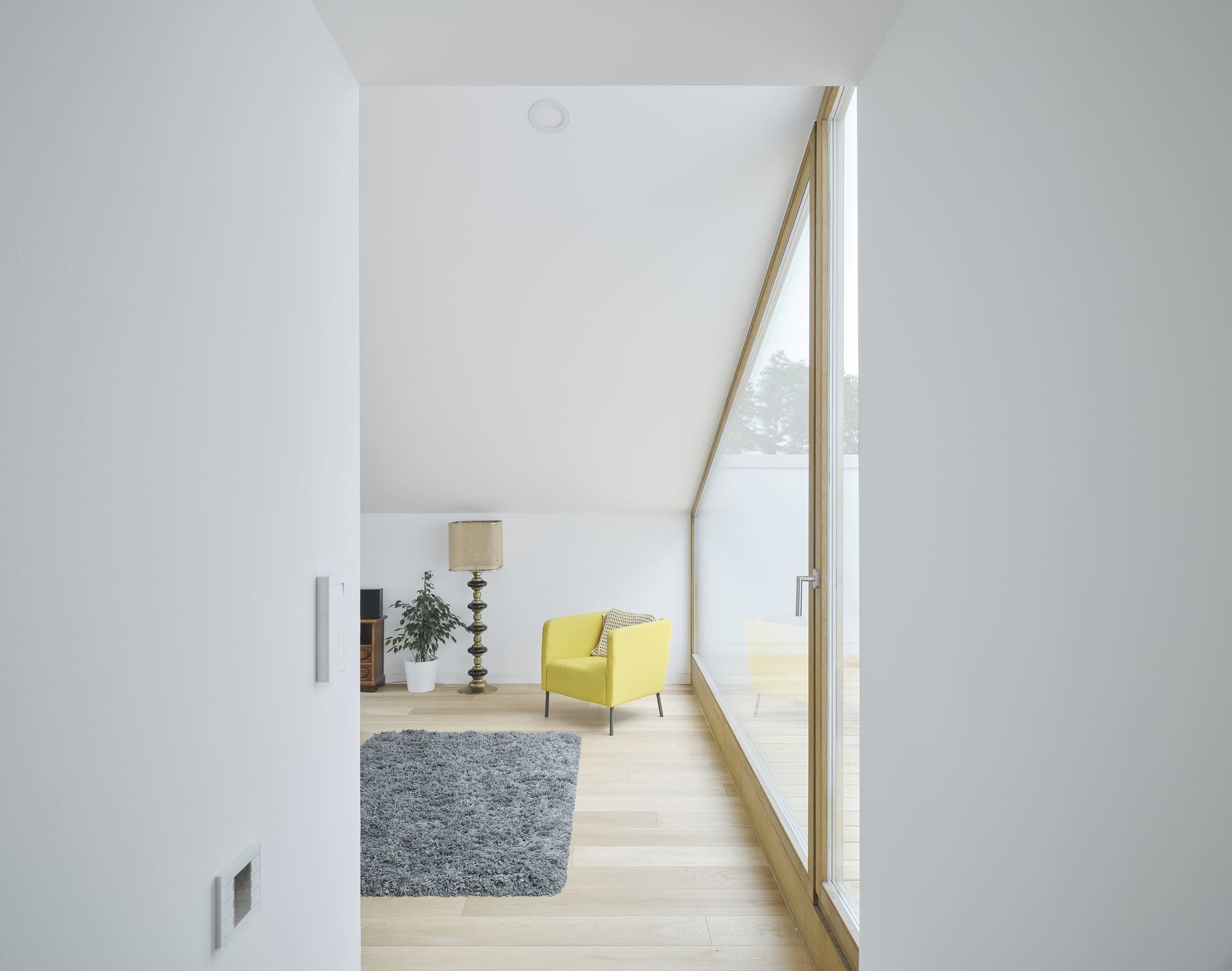 Bílý dům mezi stromy