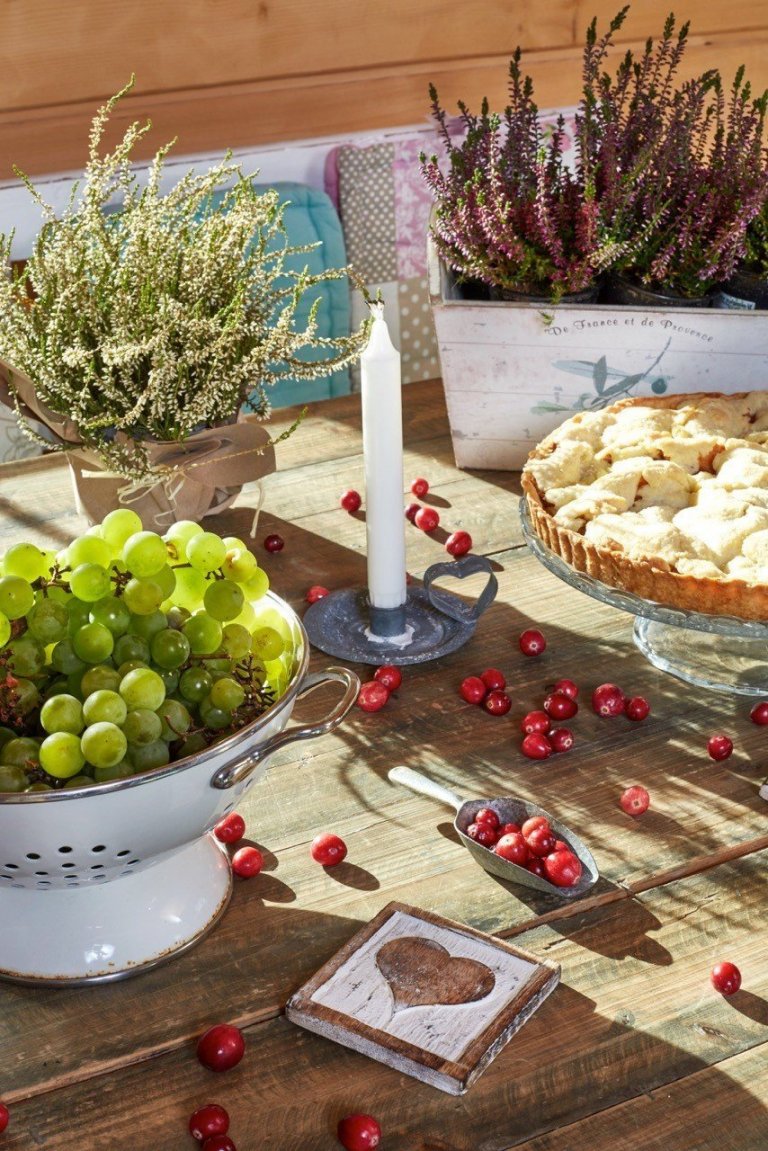 Dřevěný srub ve venkovském stylu