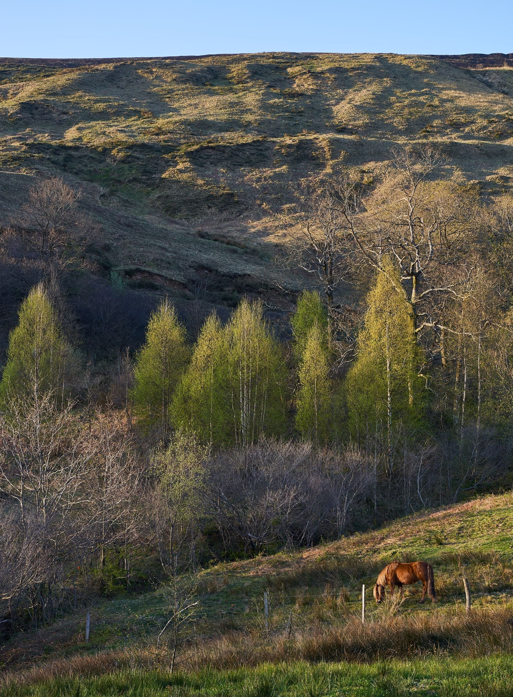 Dům ze staré stodoly