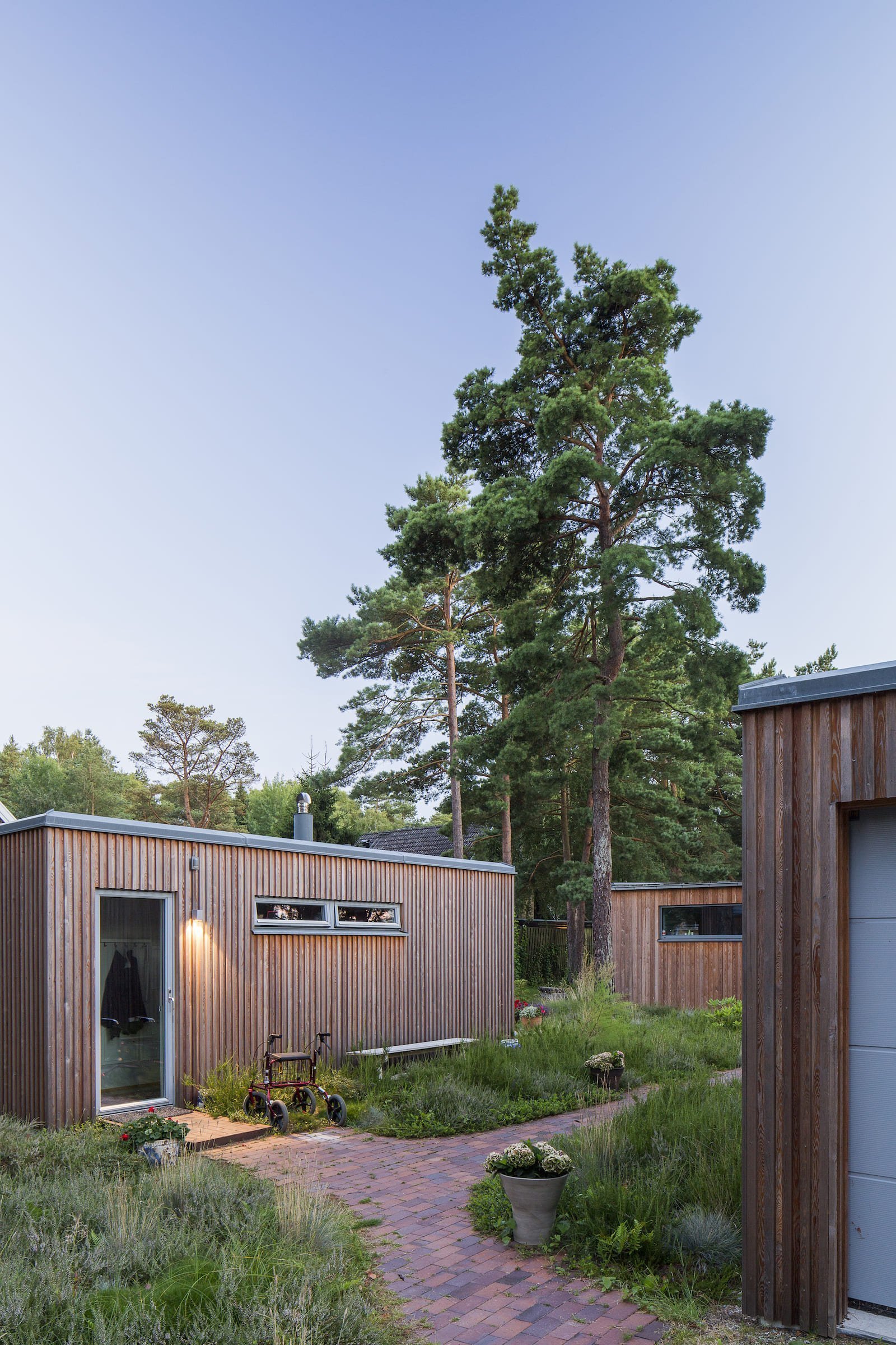 Přízemní dřevostavba mezi borovicemi a domem pro babičku