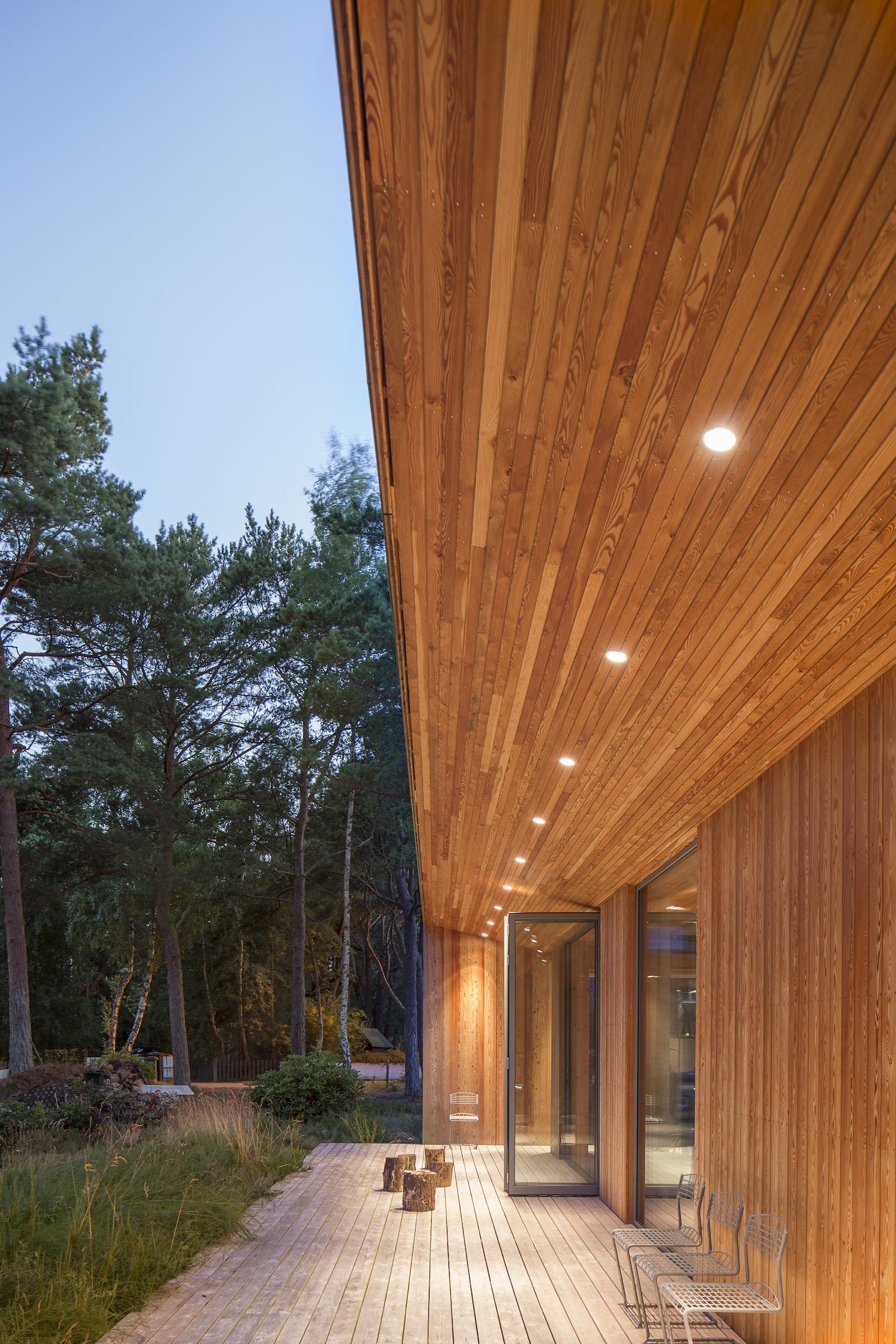 Přízemní dřevostavba mezi borovicemi a domem pro babičku