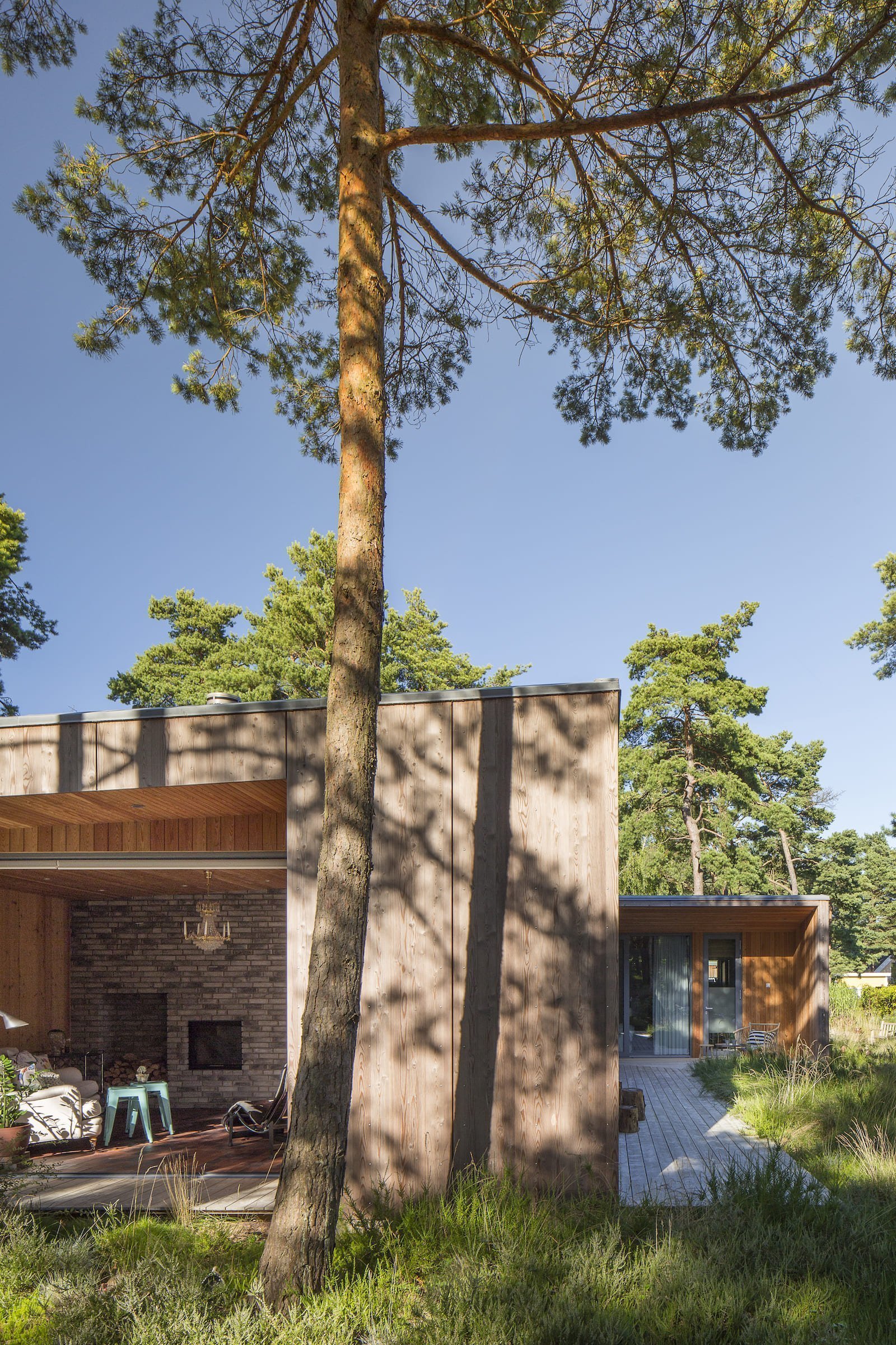 Přízemní dřevostavba mezi borovicemi a domem pro babičku