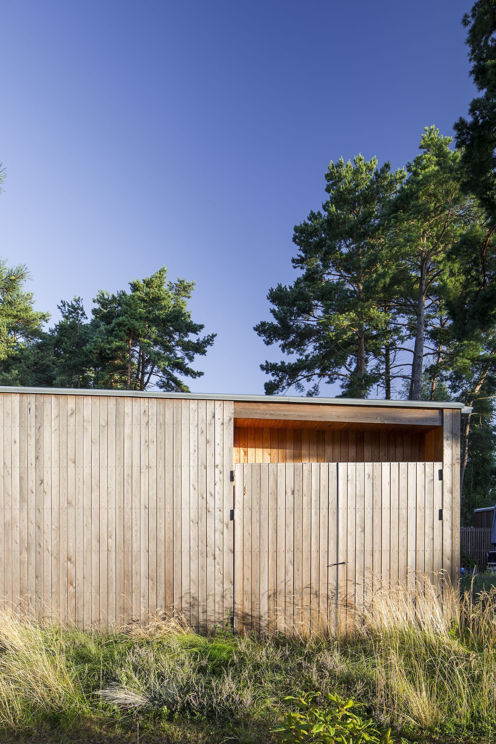 Přízemní dřevostavba mezi borovicemi a domem pro babičku