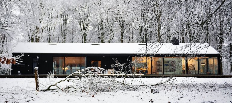 Prosklený dům na kraji lesa