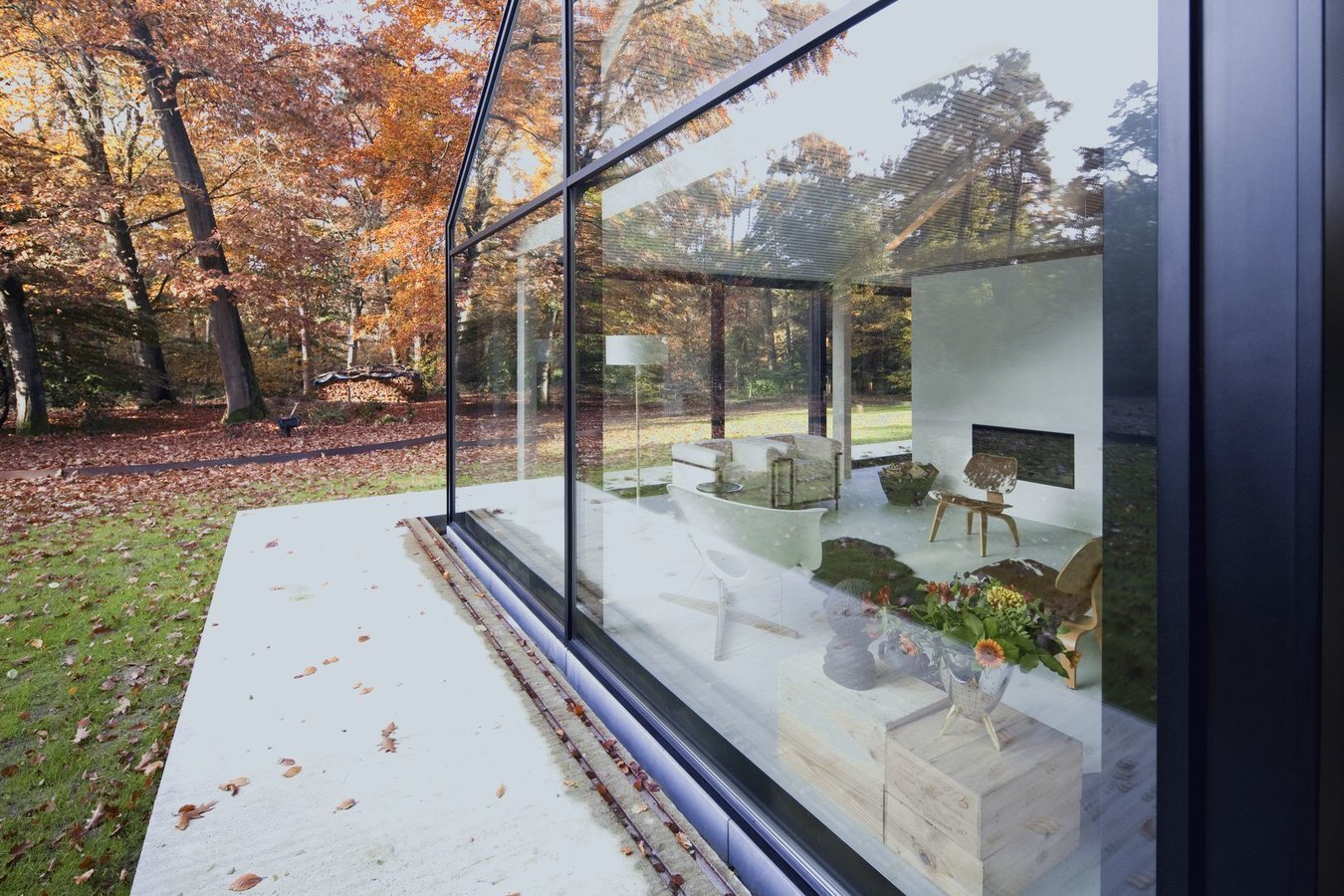 Prosklený dům na kraji lesa