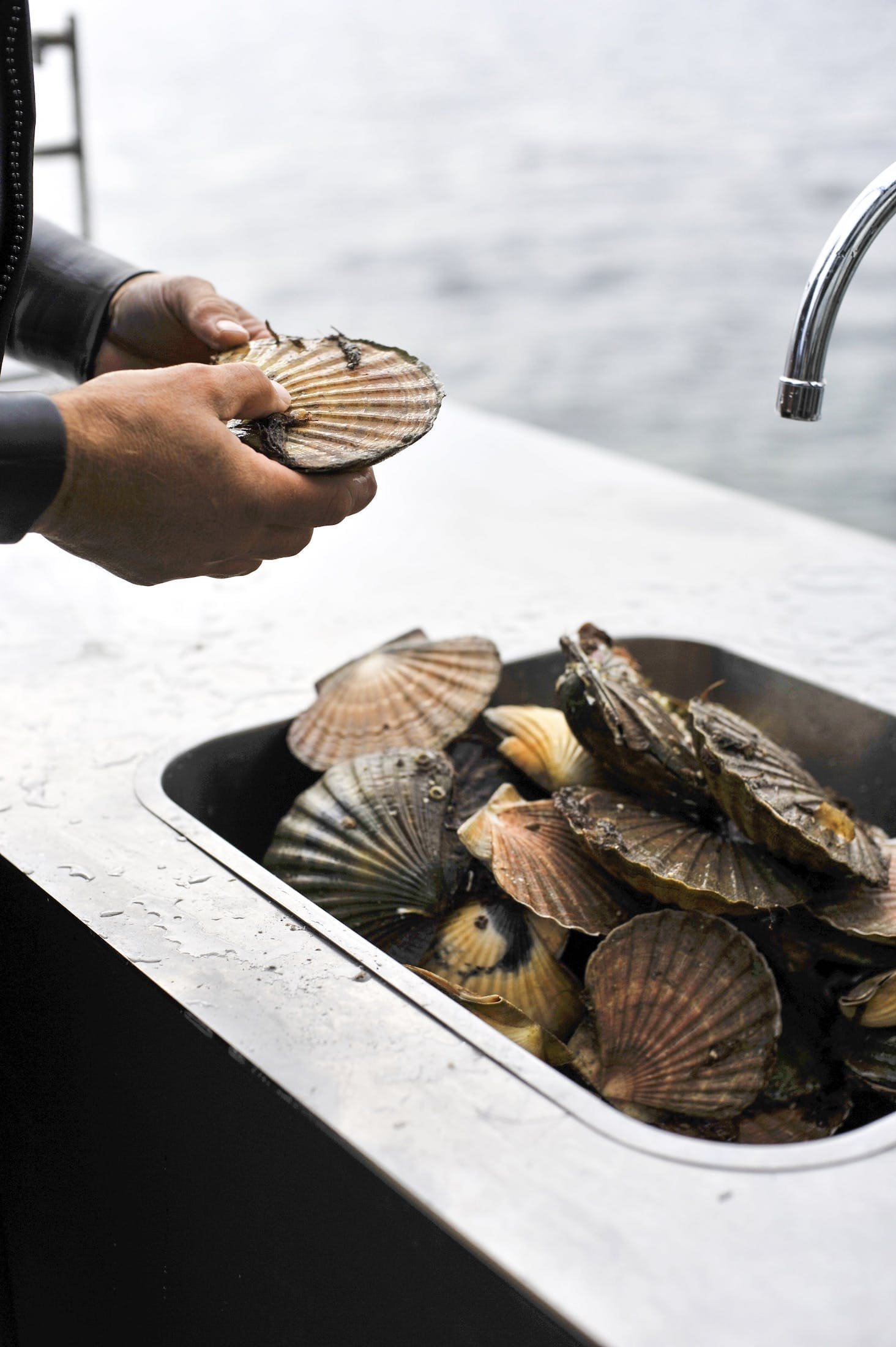 Stará loděnice se proměnila v celoživotní sen