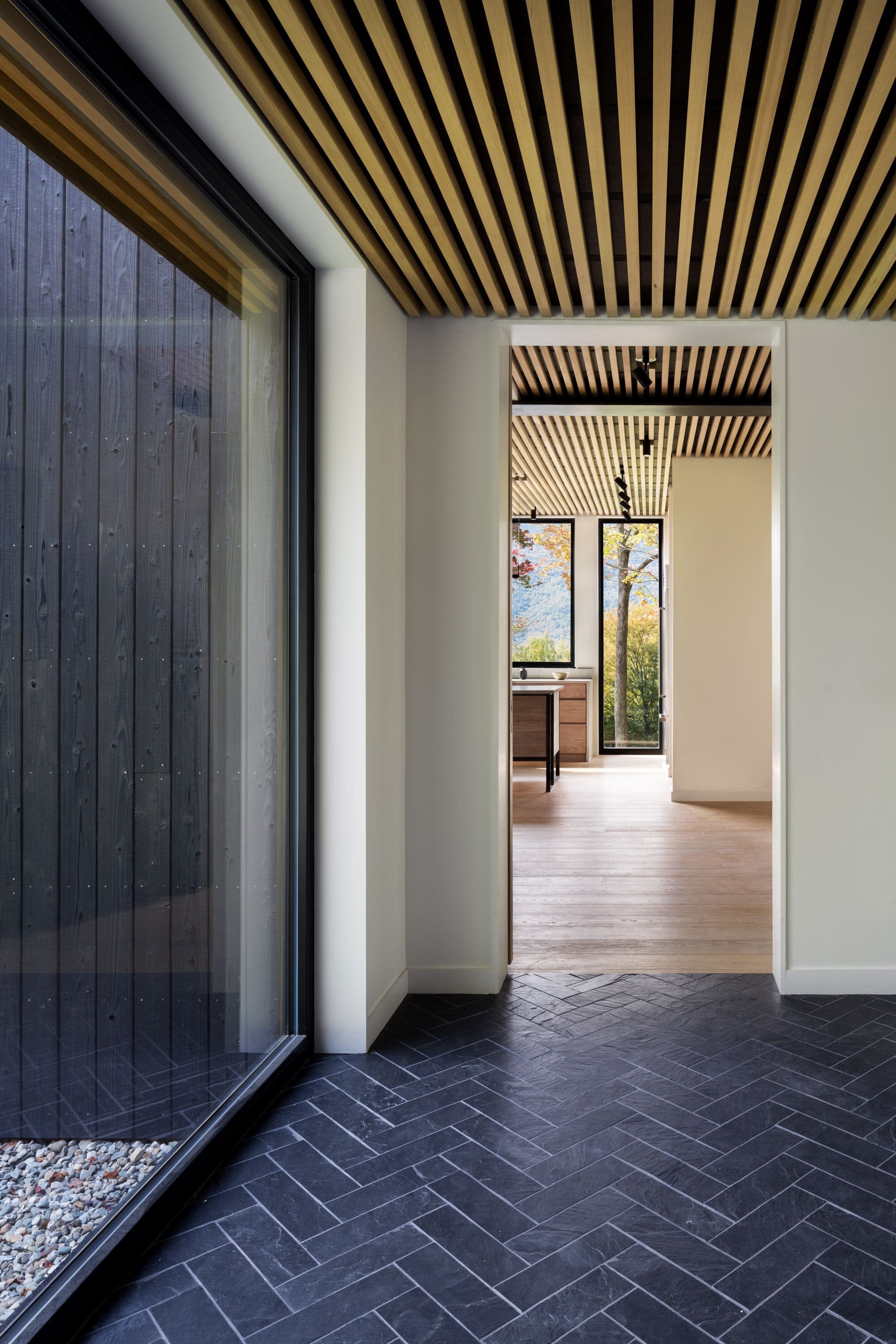 Venkovský dům na svahu obklopený lesem