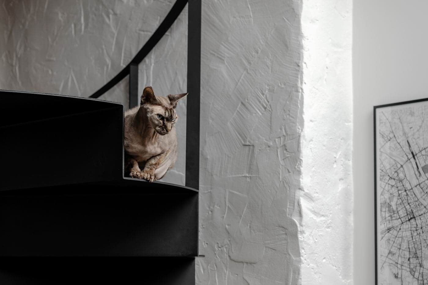 Z bývalé sušárny ve věži je kouzelný loft