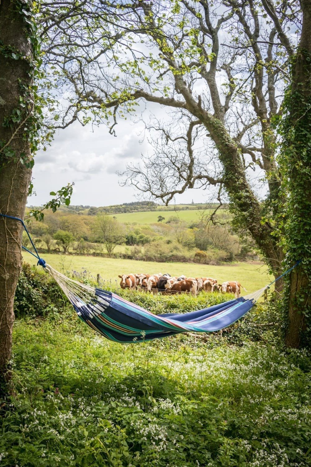 Z prasečího chlívku romantická chaloupka