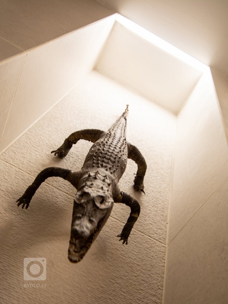 add picture to album