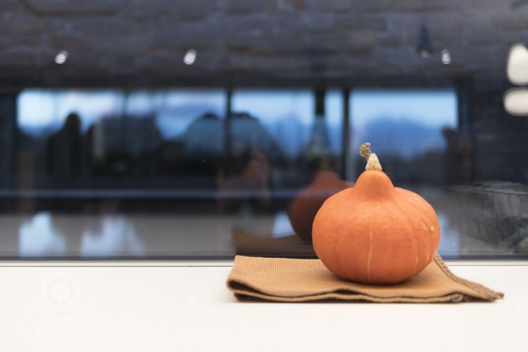 add picture to album