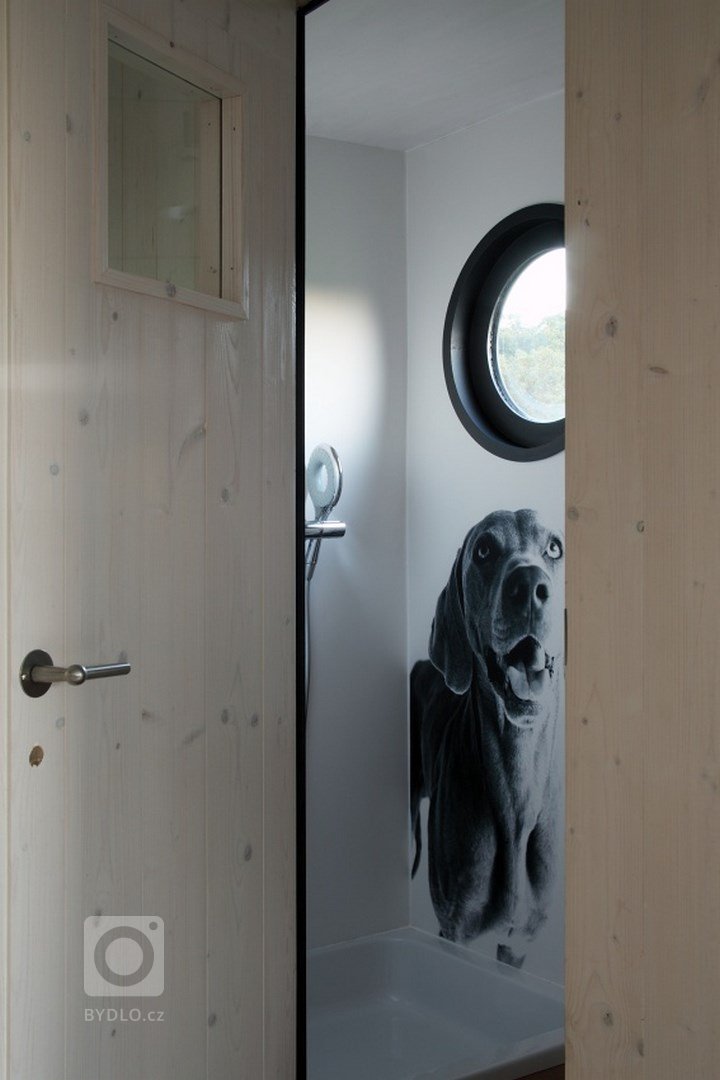 add picture to album