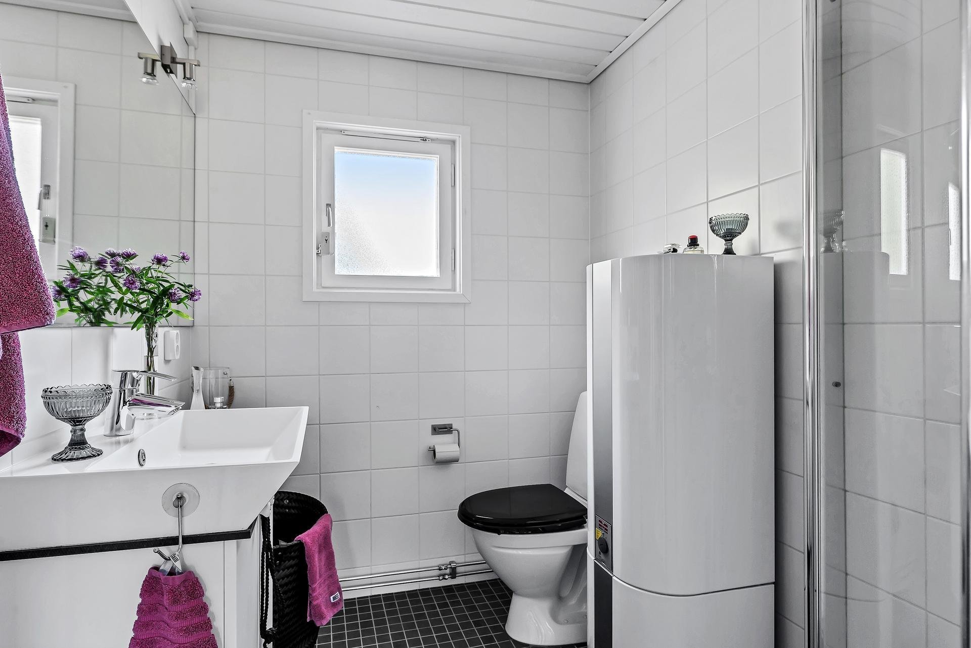 Na návštěvě ve Švédsku