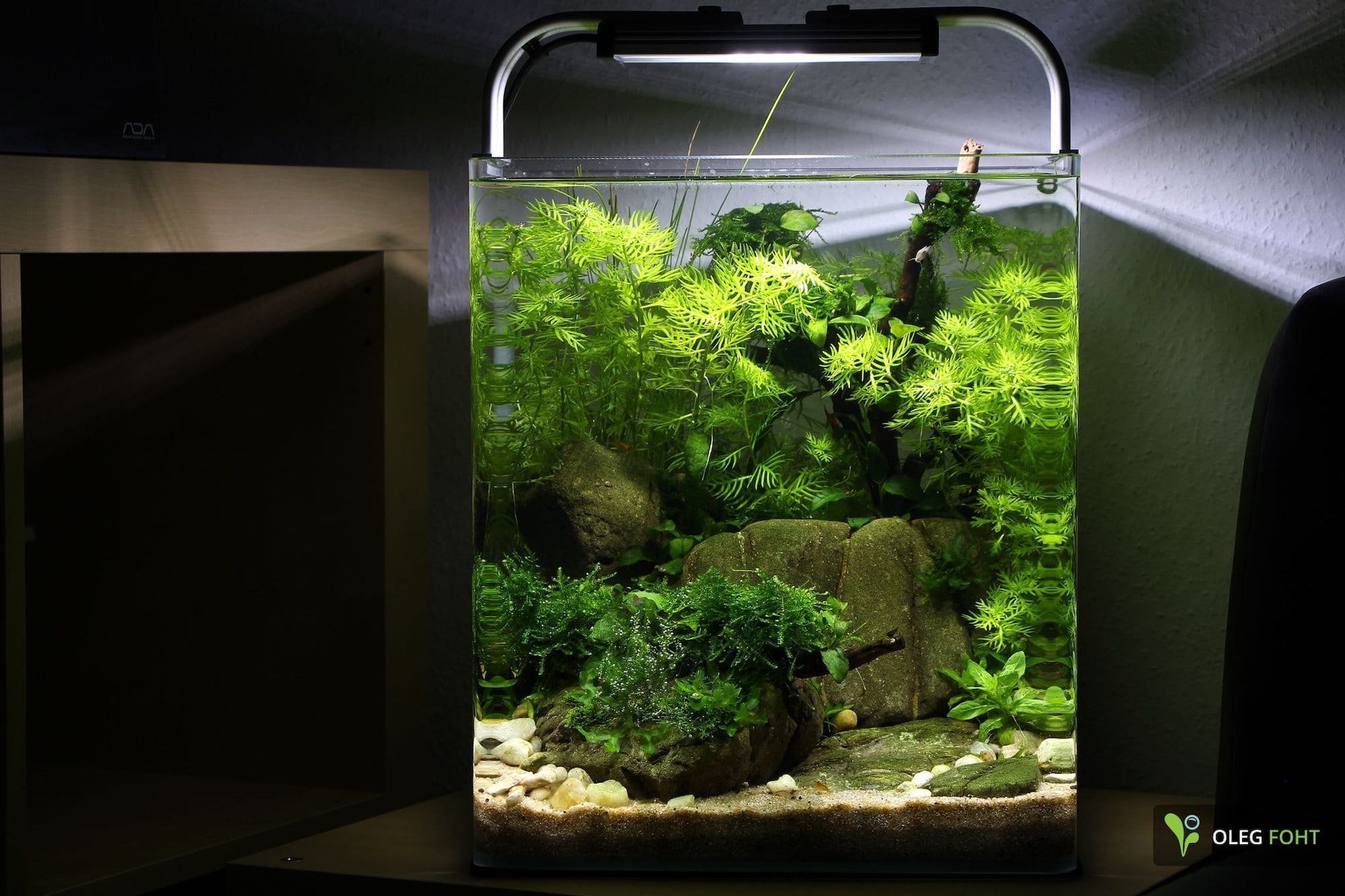 Nano akvárium, designový doplněk do vašeho bytu