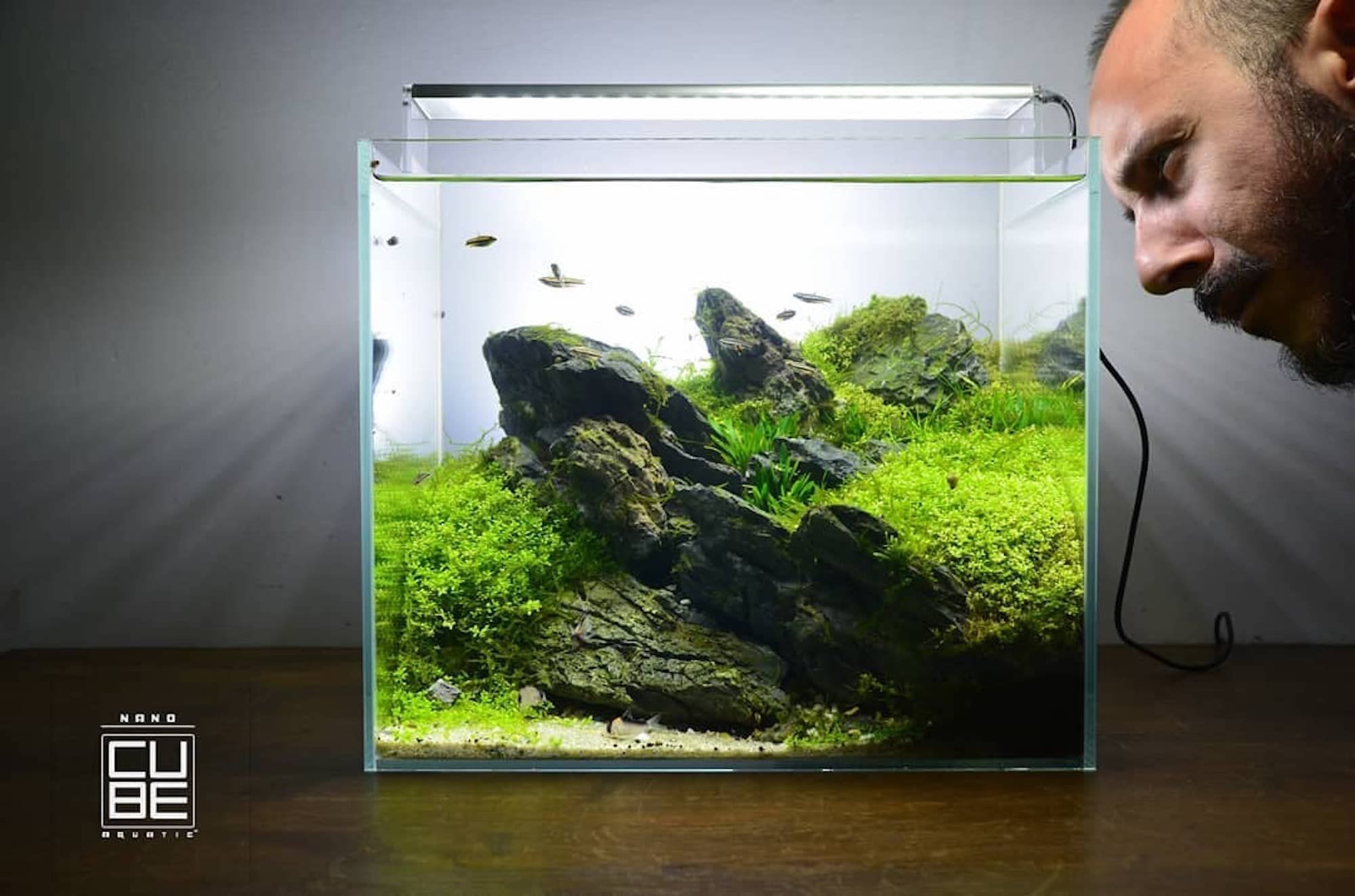 Nano akvárium, designový doplněk do vašeho bytu