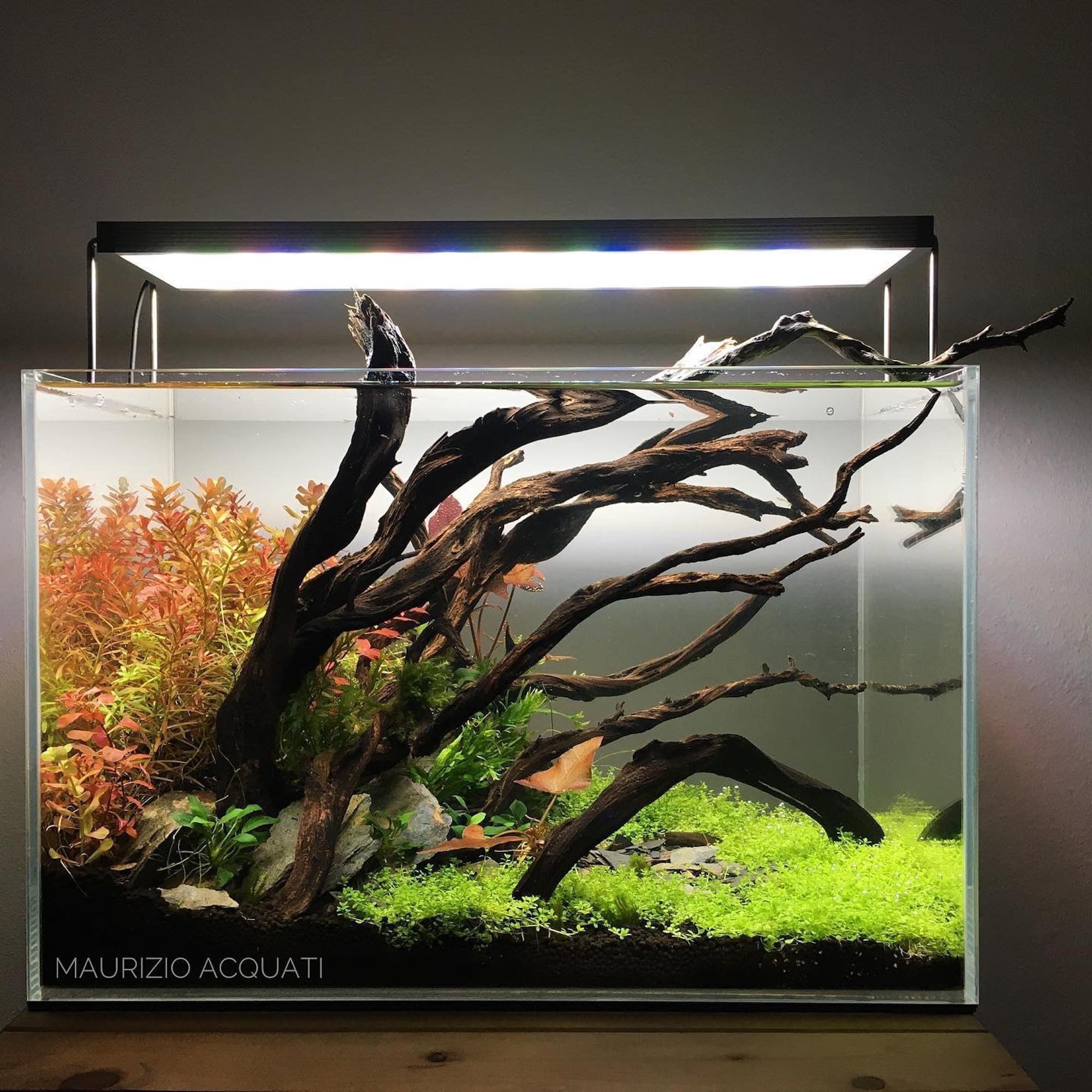 Nano akvárium, designový doplněk do vašeho bytu