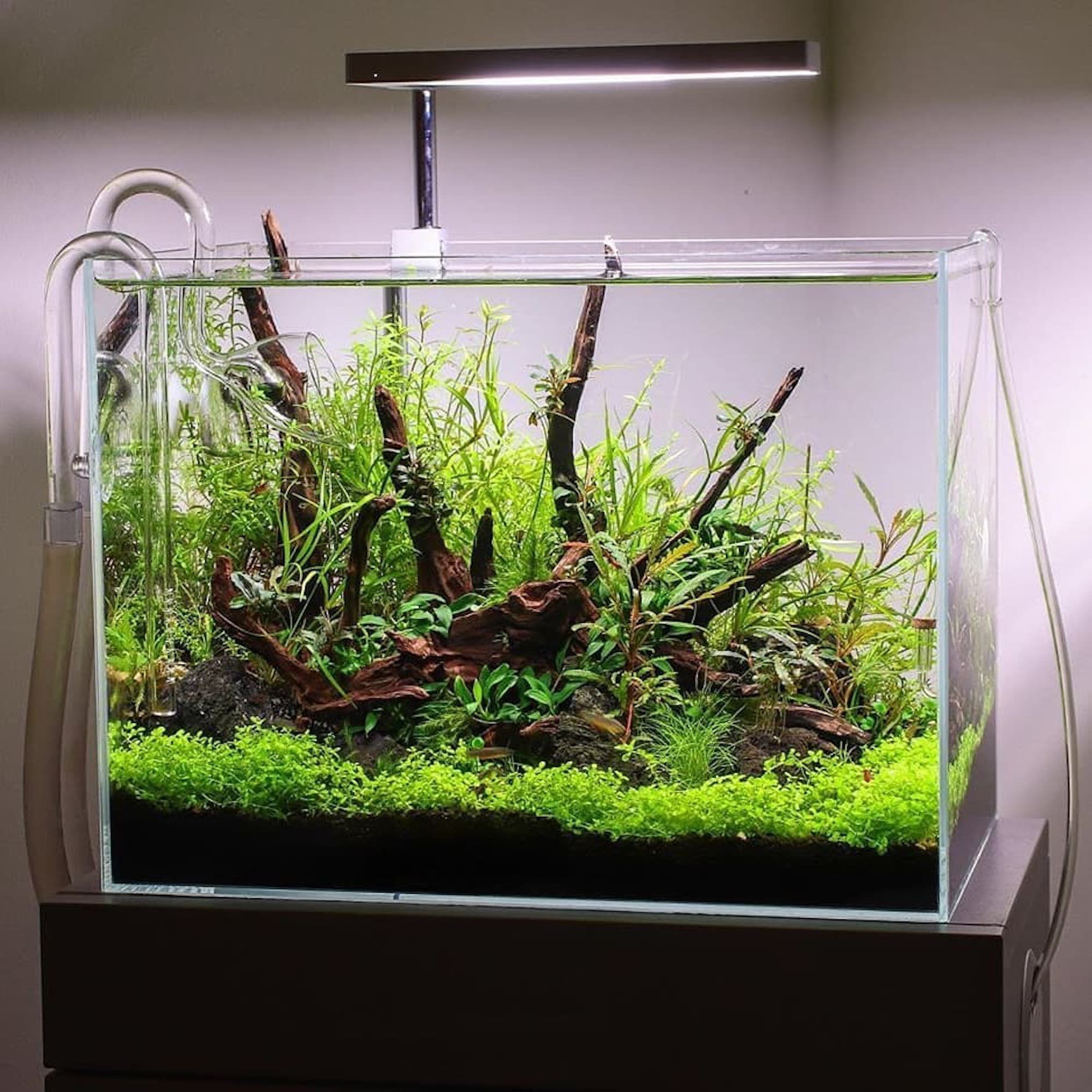 Nano akvárium, designový doplněk do vašeho bytu