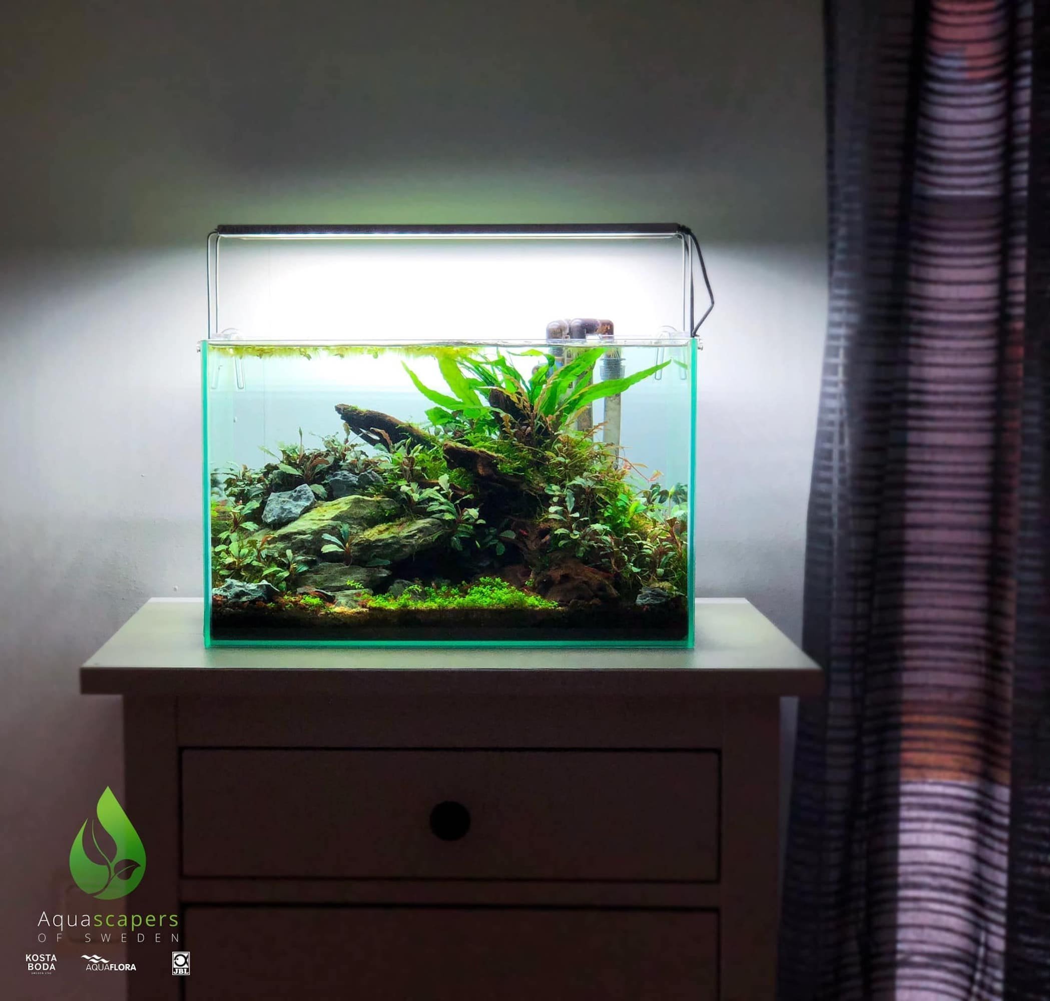 Nano akvárium, designový doplněk do vašeho bytu