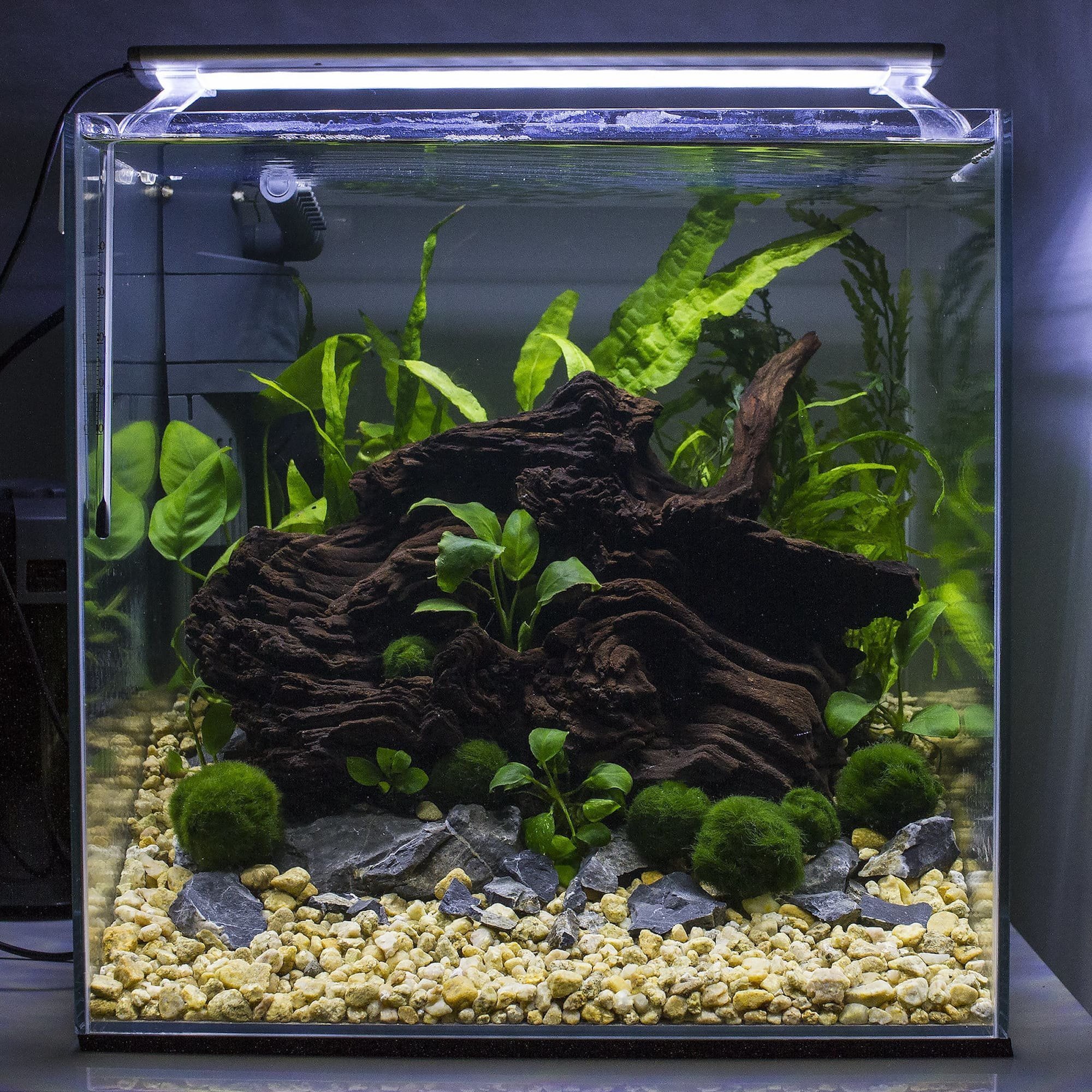 Nano akvárium, designový doplněk do vašeho bytu