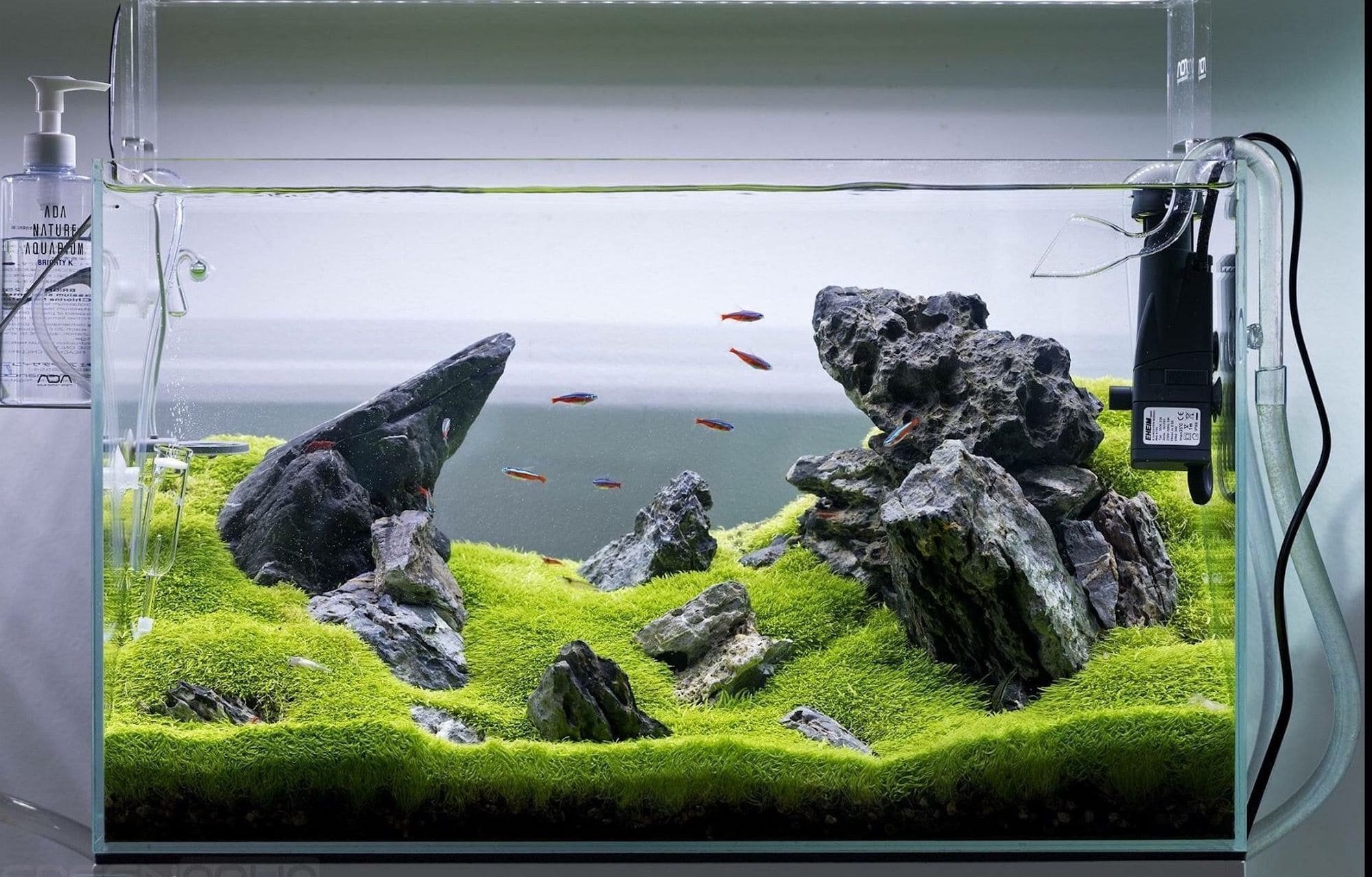 Nano akvárium, designový doplněk do vašeho bytu