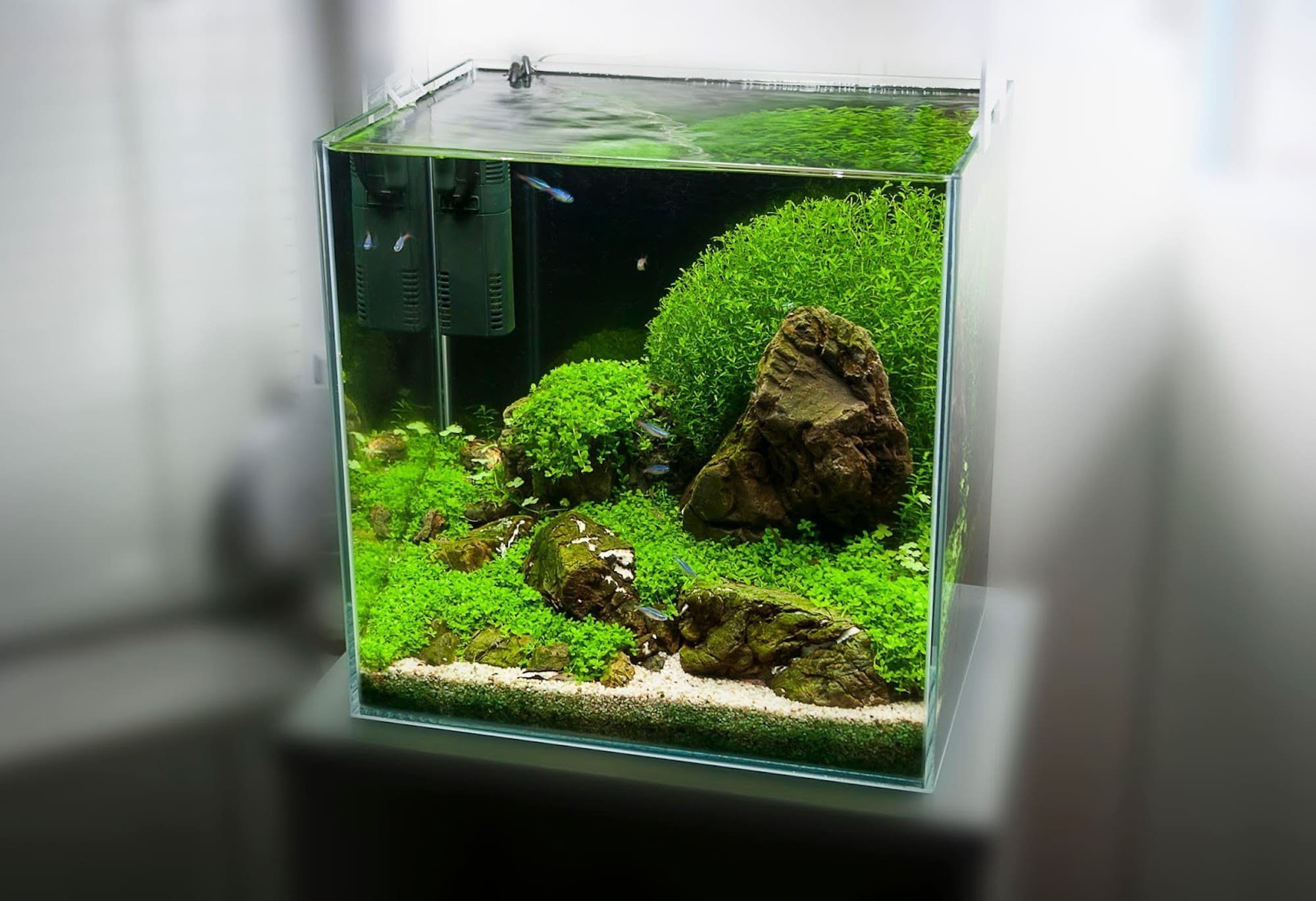 Nano akvárium, designový doplněk do vašeho bytu