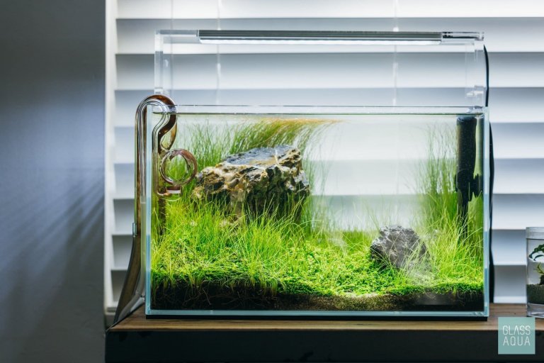 Nano akvárium, designový doplněk do vašeho bytu