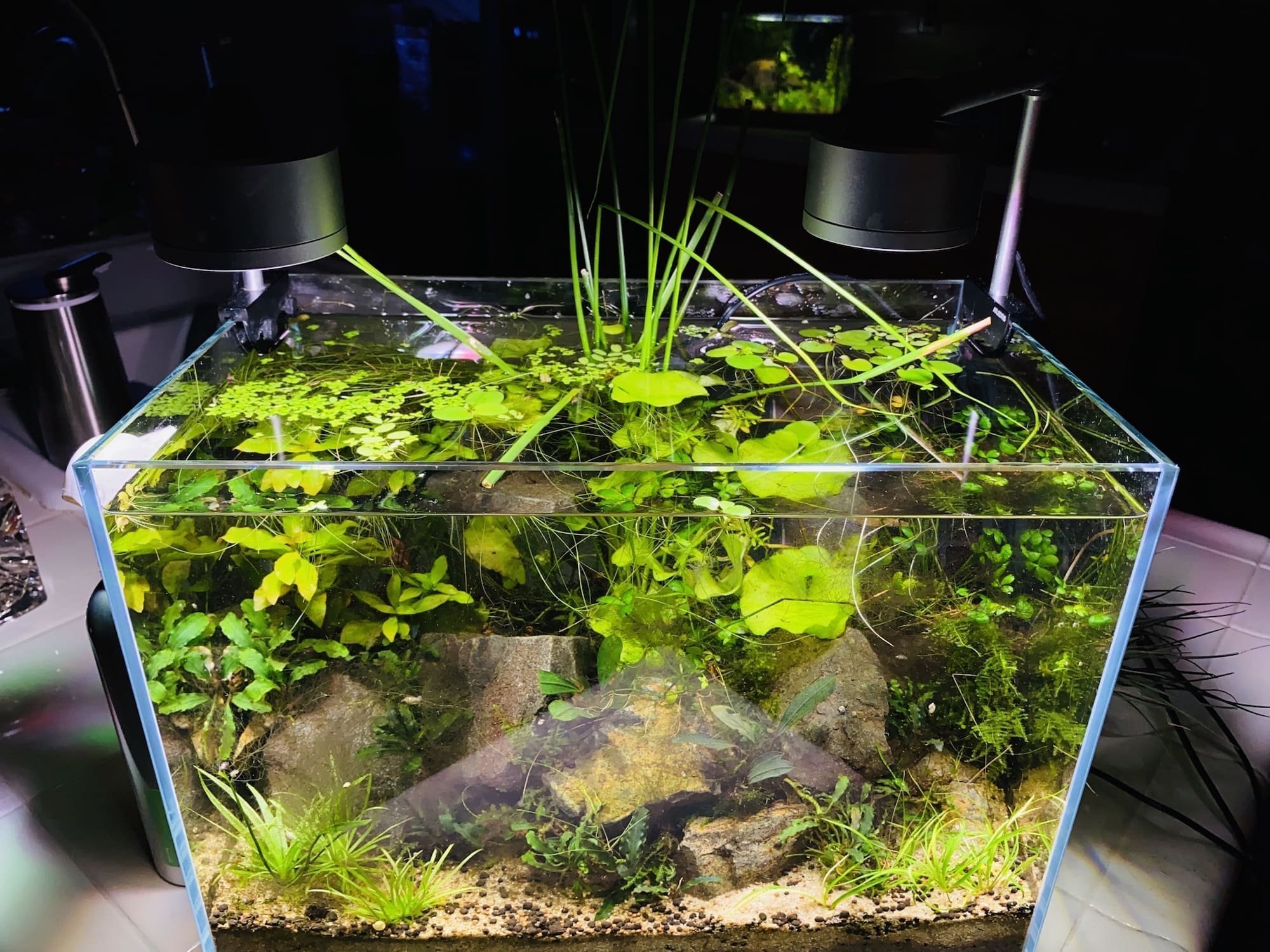 Nano akvárium, designový doplněk do vašeho bytu